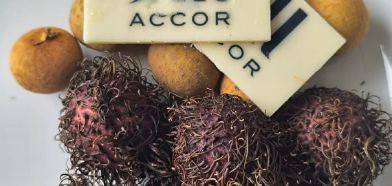 Дед Архимед против Accor